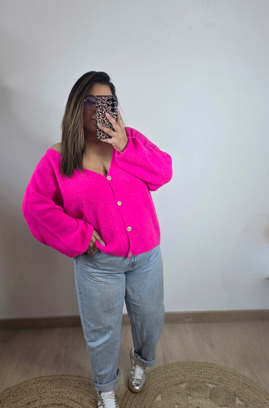 "Douceur d'hiver" - Gilet Alpaga  Sami